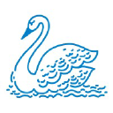 MS  Avatar