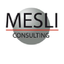 mesli-consulting.com