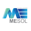 mesol.com.pk