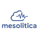 mesolitica.com