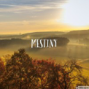 mestiny.com