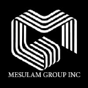 mesulamgroup.com