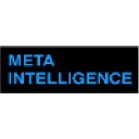 meta-intelligence.com