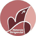 metanoiadirigencial.com.br