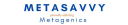 metasavvy.com