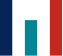MetaSight Diagnostics