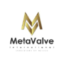 metavalve.com