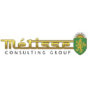 Metisse Consulting Group
