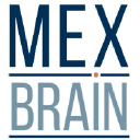 mexbrain.com