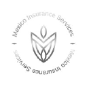 Mexico Insurance Services Inc