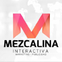 mezcalinainteractiva.com