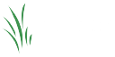 MFiber Inc