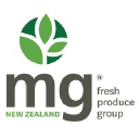 mgmarketing.co.nz