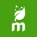 microendo.com.mx