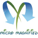 micromagnifiedpartners.co.in
