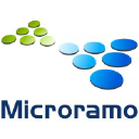 Microramo