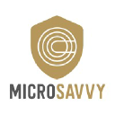 Microsavvy
