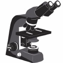 microscopesandmore.com