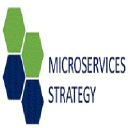 microserstrategy.biz
