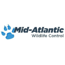 Mid-Atlantic Wildlife Control
