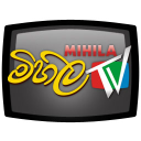 mihilatv.com Invalid Traffic Report