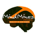 mindminesinfotech.com