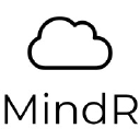 mindrconsulting.com