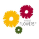mineralflowers.com