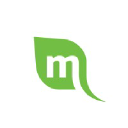 Mint Media Ltd