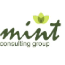 mintconsultinggroup.com