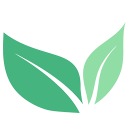 MintRx Pharmacy