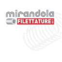 mirandolafilettature.it