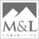 ml-consulting-services.com