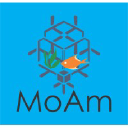 moam.com.co
