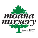 moananursery.com