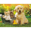 modernallergymanagement.com
