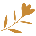 Mohnfeld Beratung