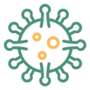 A City Within A Park Mold Inspection