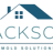 Mold Remediation Jackson MI Pros