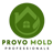 Mold Remediation Provo UT Solutions