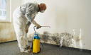 Mold Remediation York PA Solutions