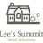 Mold Removal Lees Summit Solutions