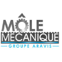 mole-mecanique.com