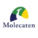 molecaten.nl