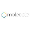 molecole.com