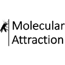molecular-attraction.com