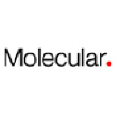 molecular.com