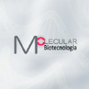molecularbrasil.com.br