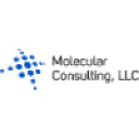 molecularconsult.com