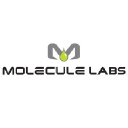 moleculelabs.com